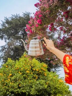 V60 "Buono" Drip Kettle 1.2L Silver -Hario VKB HSVALT