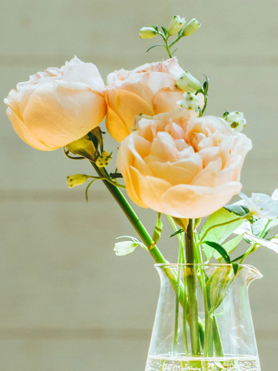 HARIO Conical Beaker (300ml/10oz) 2 HARIO Conical Beaker (300ml/10oz) - Image 2