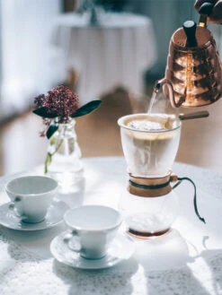 HARIO Woodneck (480ml/16oz) -Hario hario dpw 3 woodneck 480ml in use 3