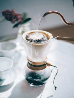 HARIO Woodneck (480ml/16oz) -Hario hario dpw 3 woodneck 480ml in use 4