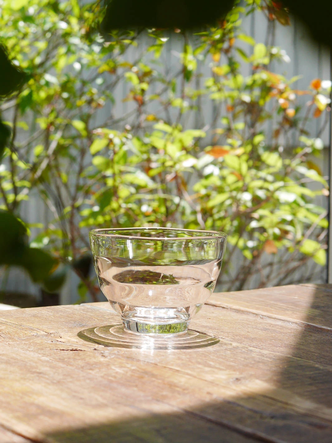 HARIO Heatproof Yunomi Glass (170ml/5.7oz) (5-Pack) 15 HARIO Heatproof Yunomi Glass (170ml/5.7oz) (5-Pack) - Image 15