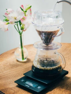 HARIO V60 Drip-Assist 14 HARIO V60 Drip-Assist -Hario hario pda 02 t v60 drip assist in use 3