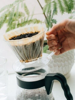 HARIO Pegasus 02 Dripper (Plastic) -Hario hario ped 02 pegasus 02 dripper transparent in use 01