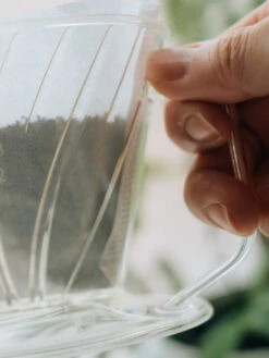 HARIO Pegasus 02 Dripper (Plastic) -Hario hario ped 02 pegasus 02 dripper transparent in use 05