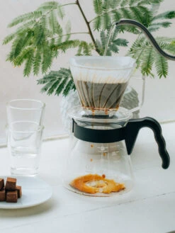 HARIO Pegasus 02 Dripper (Plastic) -Hario hario ped 02 pegasus 02 dripper transparent in use 06