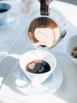 HARIO V60-02 Coffee Server (600ml/20oz) (Olive Wood) -Hario hario vcwn 60 ov v60 02 coffee server olive wood in use 3