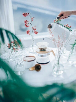 HARIO V60-02 Coffee Server (600ml/20oz) (Olive Wood) -Hario hario vcwn 60 ov v60 02 coffee server olive wood in use 4