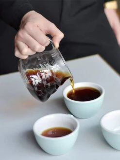 HARIO V60-01 Range Server (360ml/12oz) -Hario hario xgs int 01tb v60 01 range server 360ml in use 2